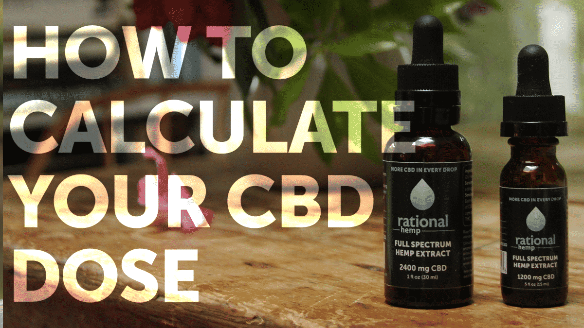Blog header: How to calculate your CBD dose