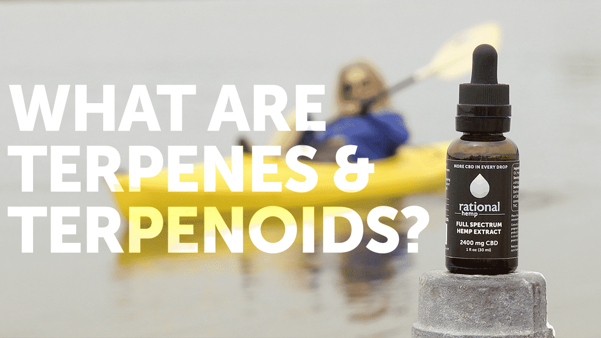 Blog header: What are terpenes & terpenoids? - Rational Hemp